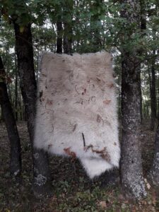 ΓΙΩΡΓΟΣ ΤΣΑΚΙΡΗΣ