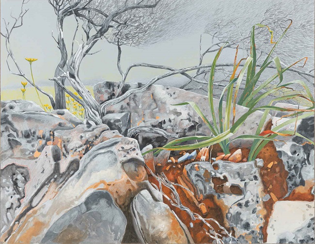  Janet Liodsaki 50 x65 cm 