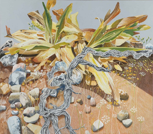  Janet Liodaki 57x65,5 cm