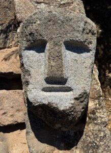 Βένια Δημητρακοπούλου