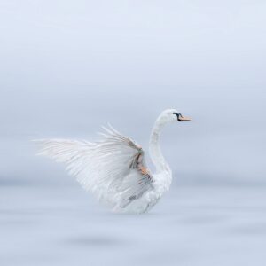 Κώστας Σαχλός