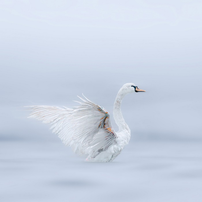  Κώστας Σαχλός